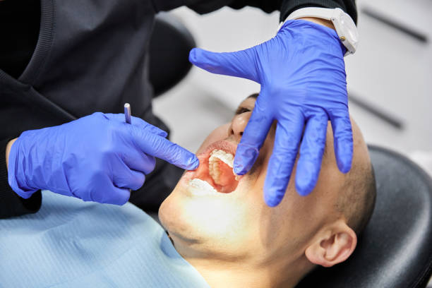 Best Walk-In Emergency Dental Services in Holland, TX
